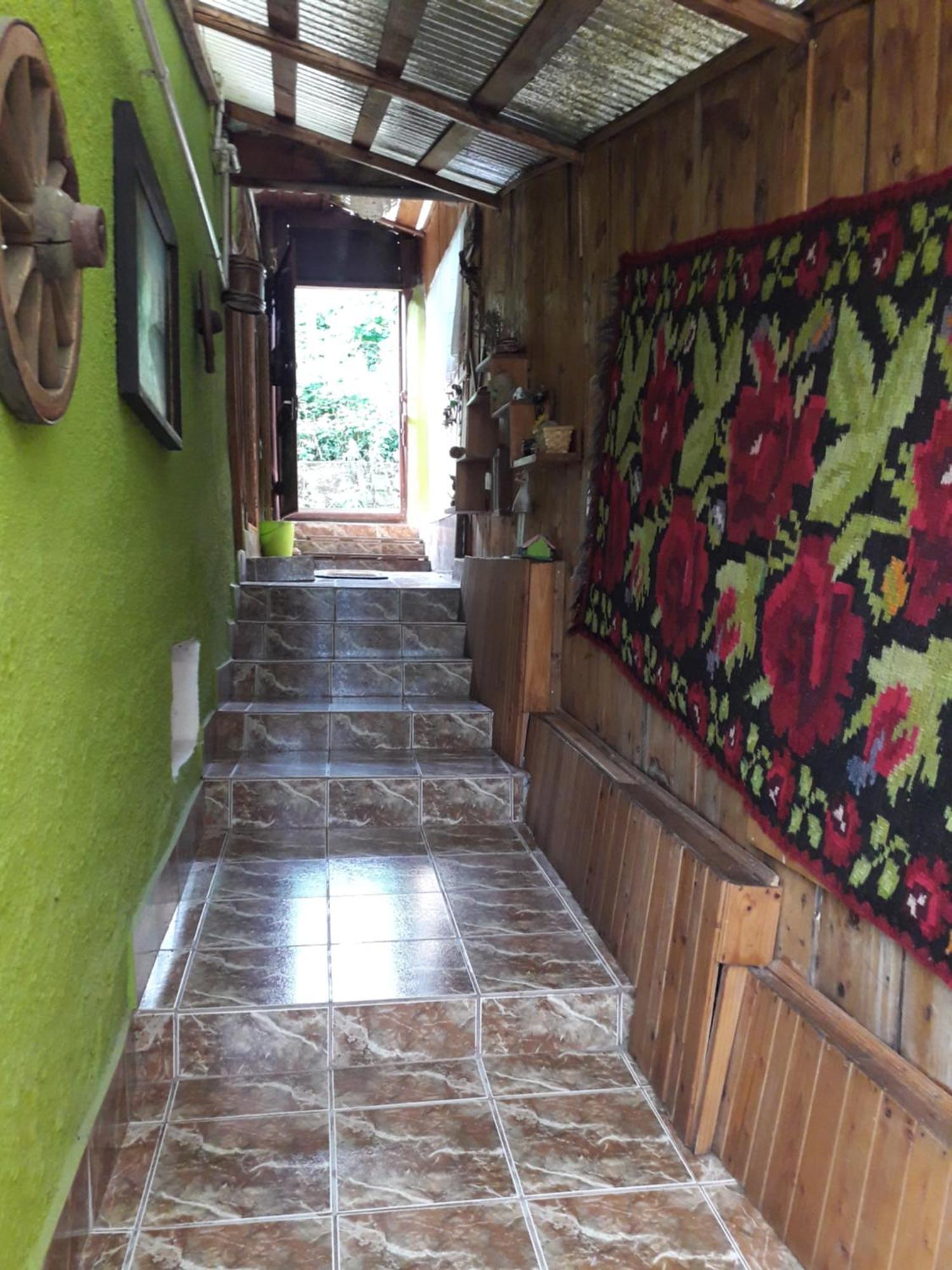 Littel Green Old * Sighisoara
